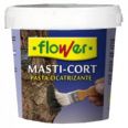 MASTIC-CORT CICATRIZANTE FLOWER 1 KG